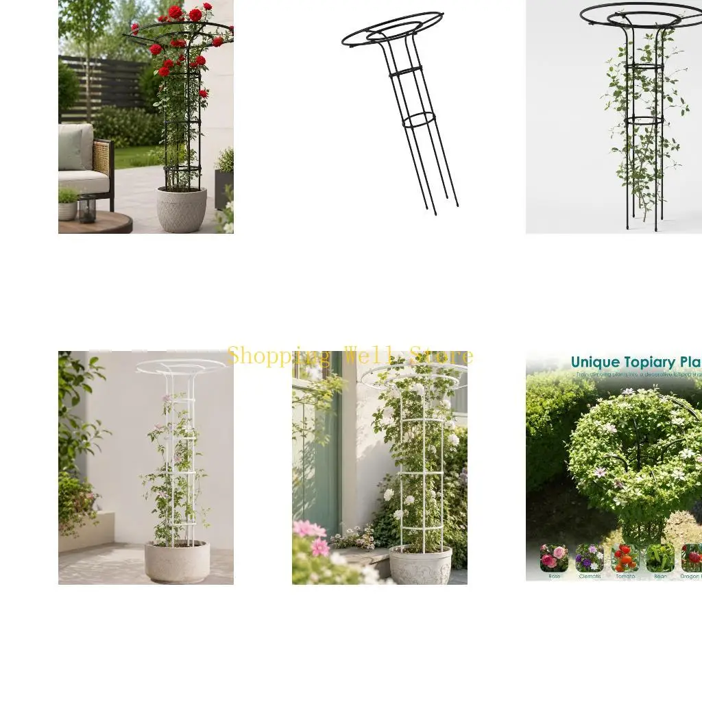 KX4B Double Loop Top Plant Support Frame Metal Garden Guide for Pots Containers and Outdoor Growing Structure Guide