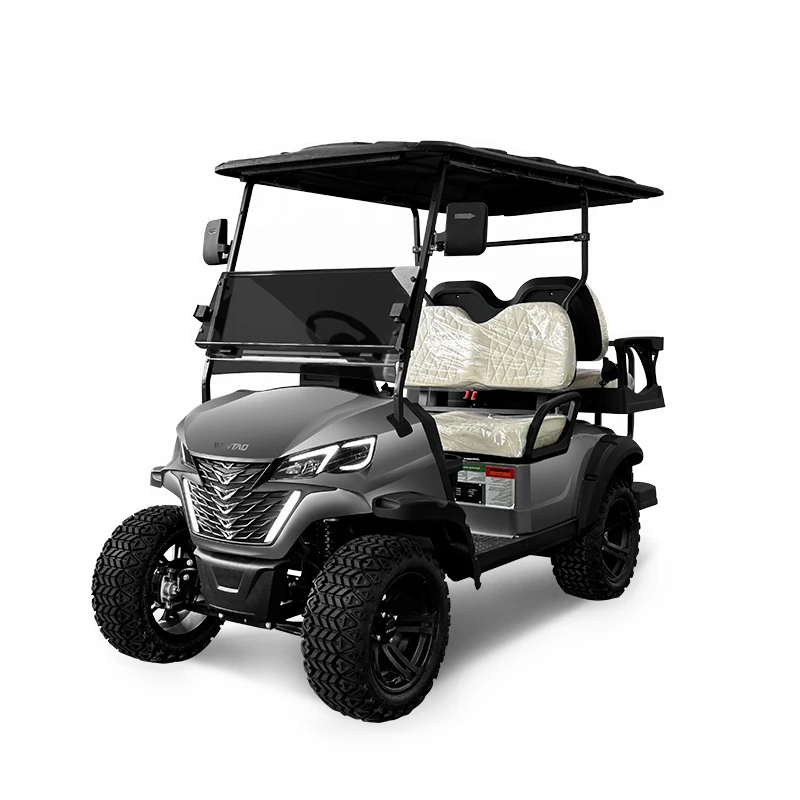 High Quality 36 Volt Golf Cart Lithium Ion  Hub Motor Electric Golf Carts Japan for Sale Philippines