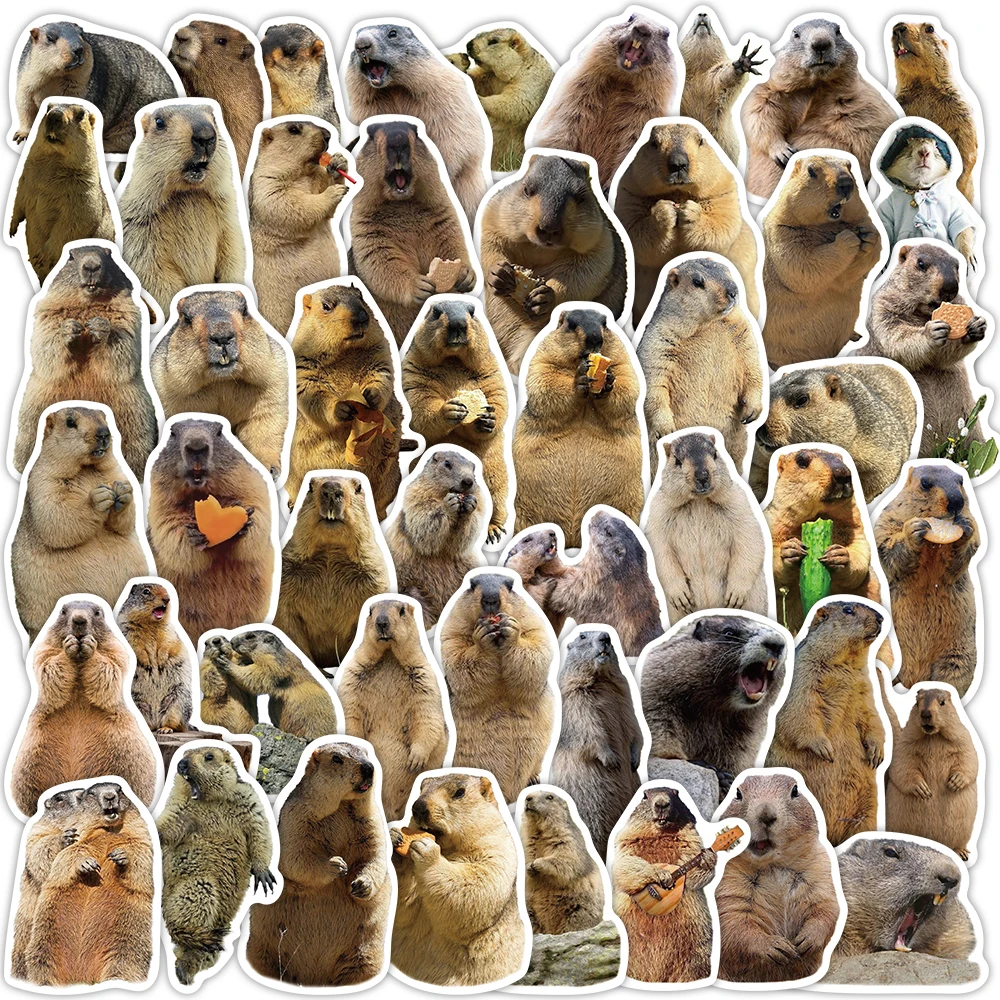 50PCS Groundhog Stickers Decorative Guitar Phone Case DIY Luggage Laptop Tablet Waterproof Stickers