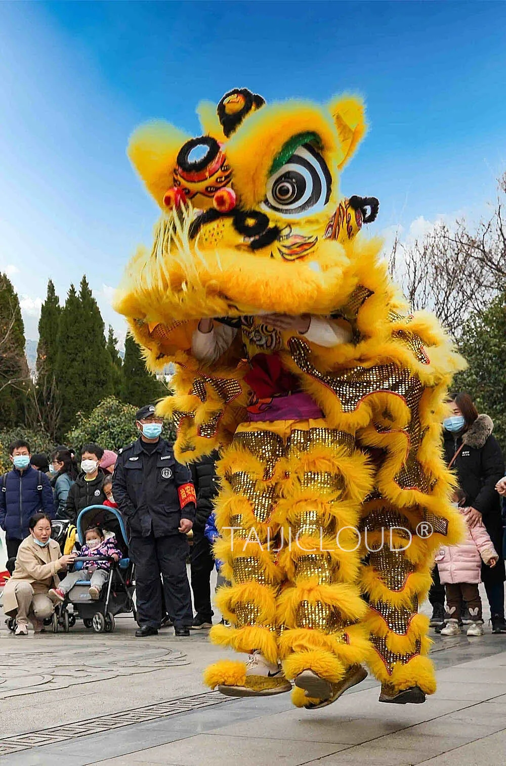 Complete Set of Lion Dance Props, South Lion Awakening, Dragon Dance Lion Clothing, Two Person Wool Clothing