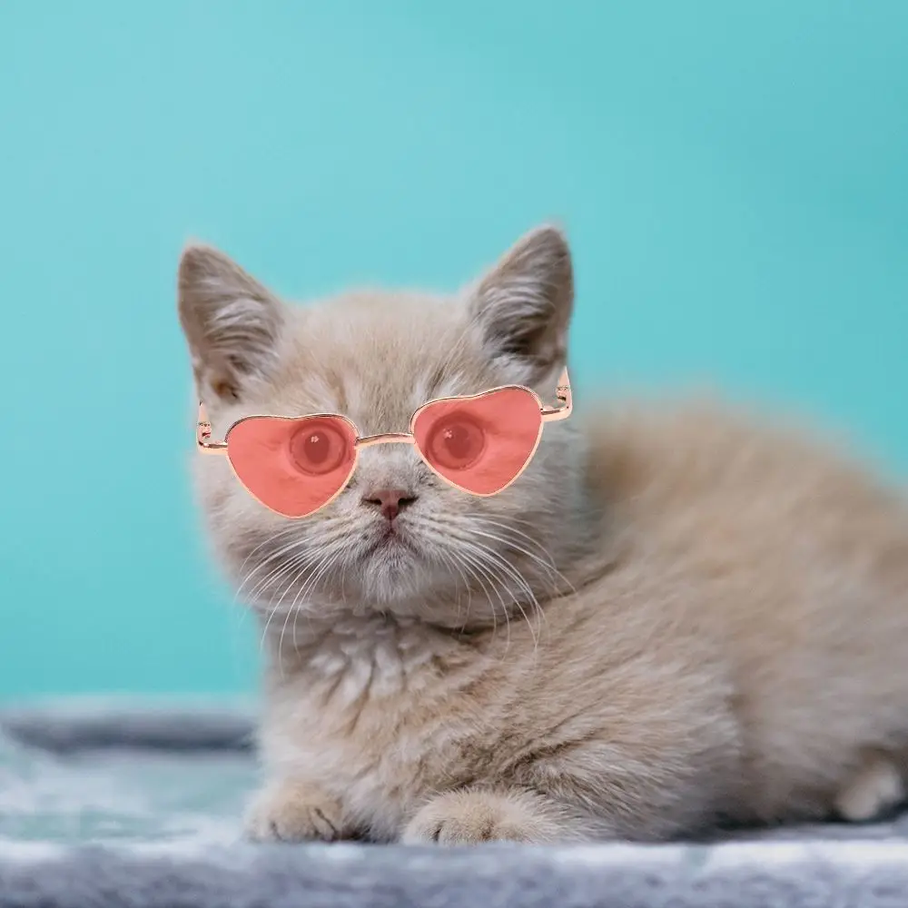 Gafas de sol Retro para muñecas, lentes de Metal a la moda para perros pequeños, disfraz de Cosplay para fiesta, utilería para fotos