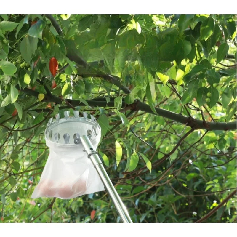 أداة حصاد معدنية خفيفة الوزن قابلة للتمديد 3.6 متر للتفاح والمانجو والليمون والبرتقال وتصميم مريح #6