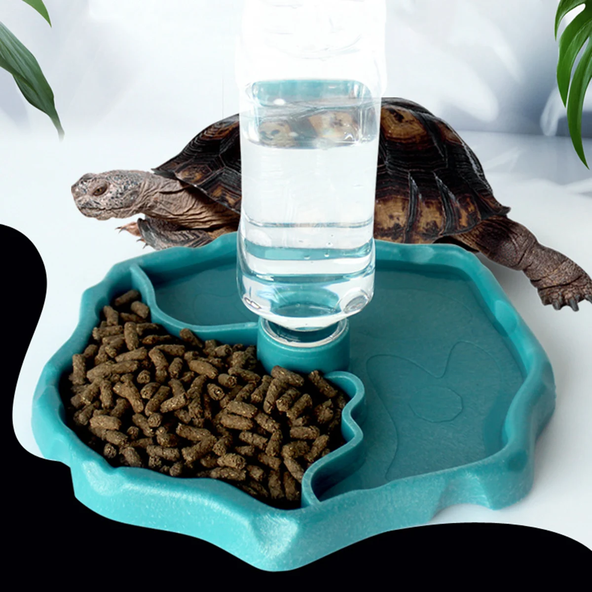 1pc - Reptile Feeder, Turtle Food Dish, Small Pet Bowl For Reptiles And Amphibians, Removable, Easy-Clean,Small Pet Supplies