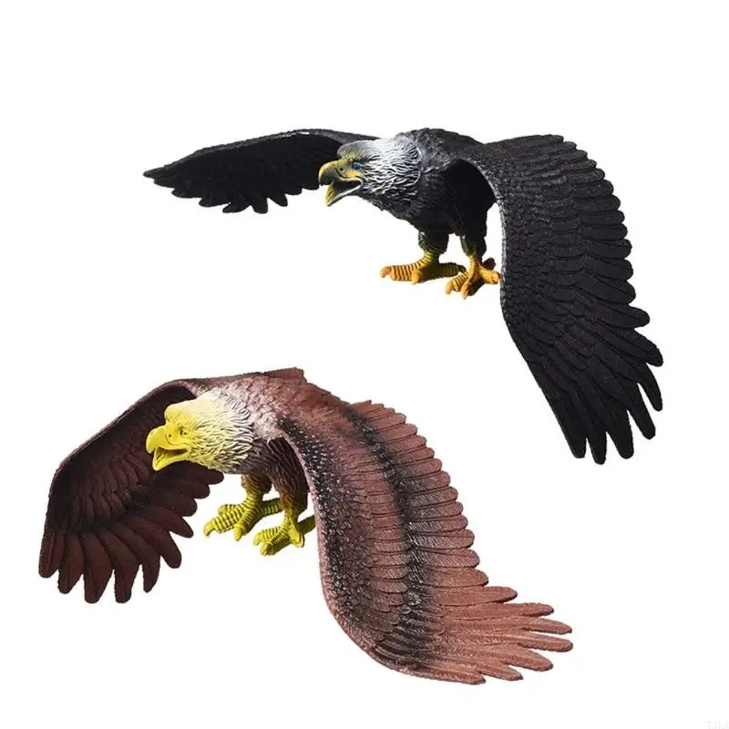 T3LA Figurina realistica aquila Simulazione uccello Modello statico solido Giocattolo da collezione in miniatura per