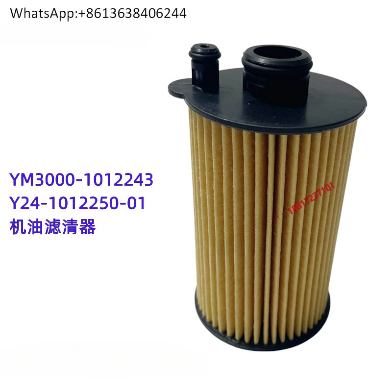 

Двигатель Y24 National VI оригинальный YM3000- 1012243 масляный фильтр Пикап Kowloon