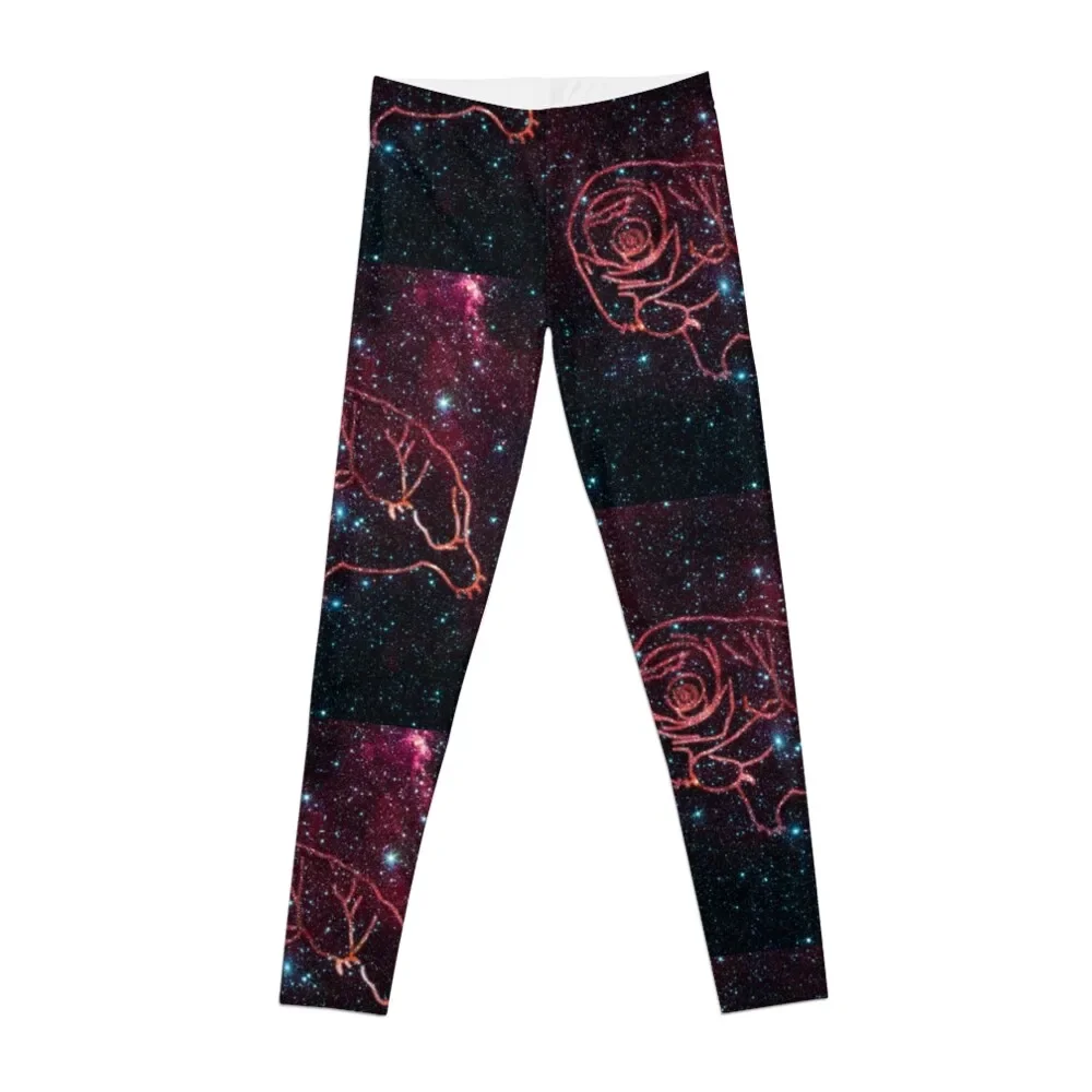 

Cosmic Majesty - Tardigrade in a Star Field Leggings Sports pants for legging push up gym top Women sportwear Womens Leggings