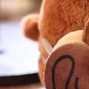 Cute Fruits Capybara Plush Keychain Cartoon Stuffed Animal Doll Keyring Bag Pendant Backpack Hanging Decoration Gifts