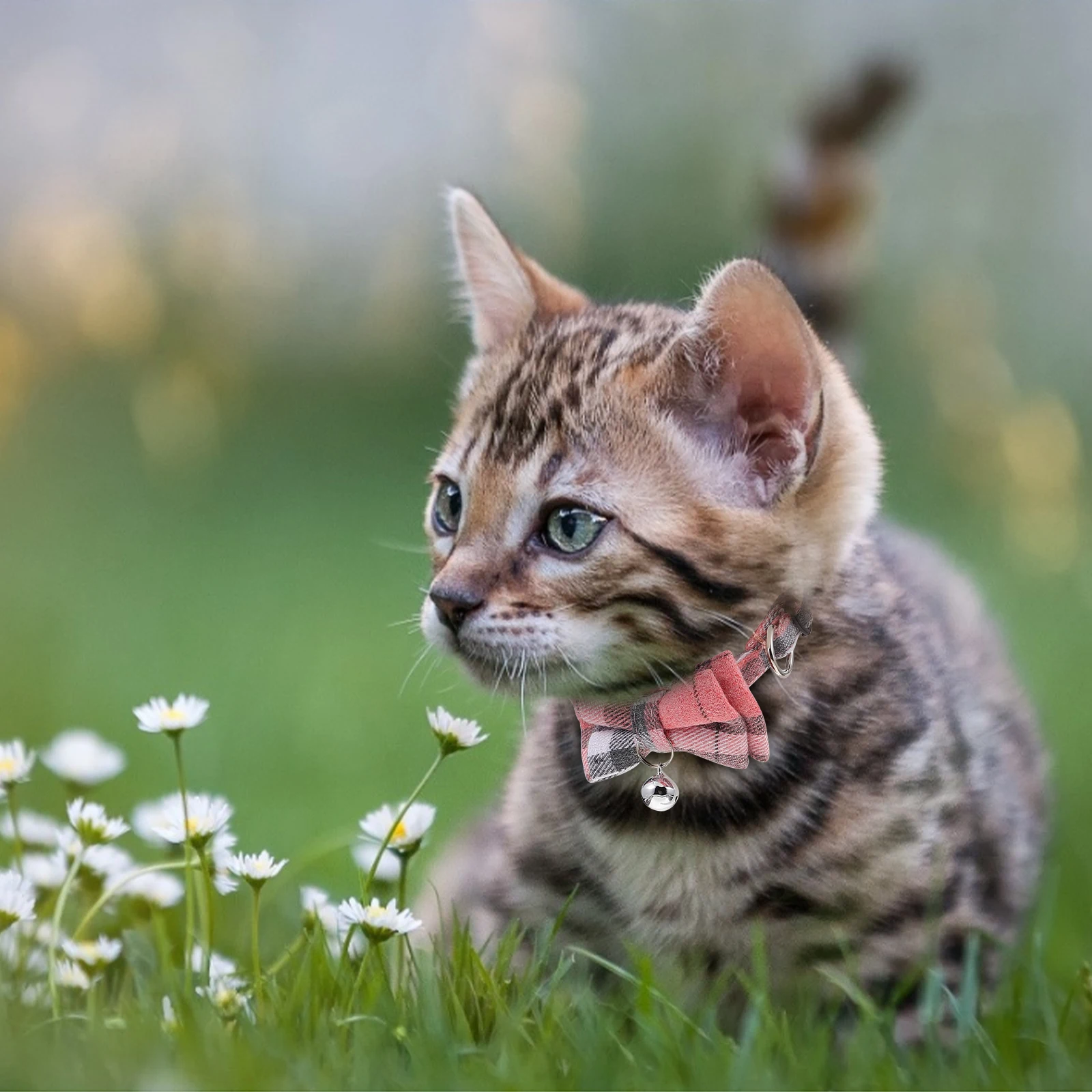 

6pcs Cat Collars Pet Supplies Large Bow Tie Adjustable Lattice Bell Cats Kittens Polyester Dog Collars Events