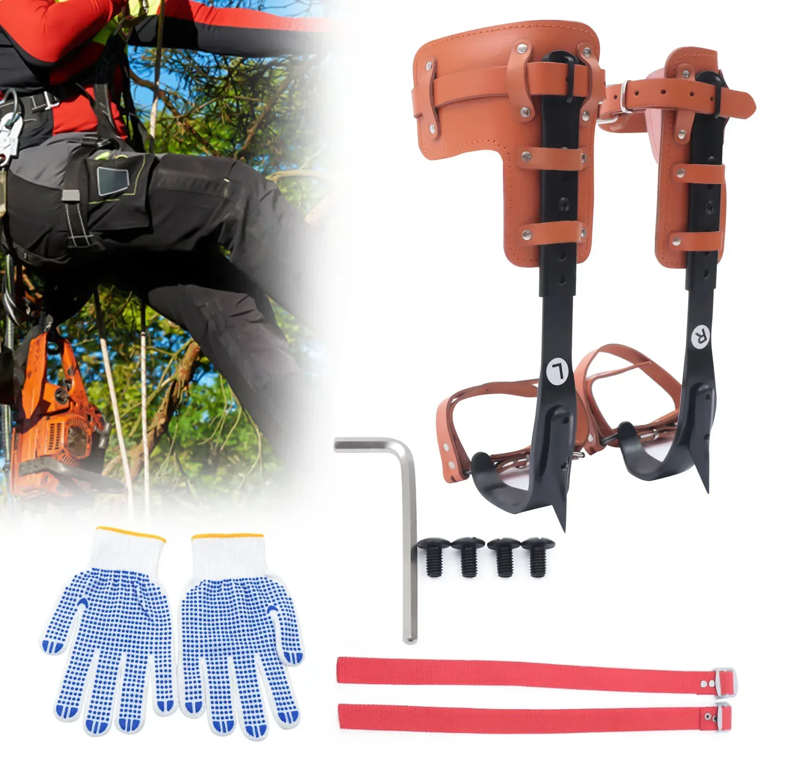 Set di punte per arrampicata sugli alberi, altezza regolabile 16,14-18,5 pollici, pelle bovina e acciaio al carbonio, capacità 220 libbre, include guanti, caviglia