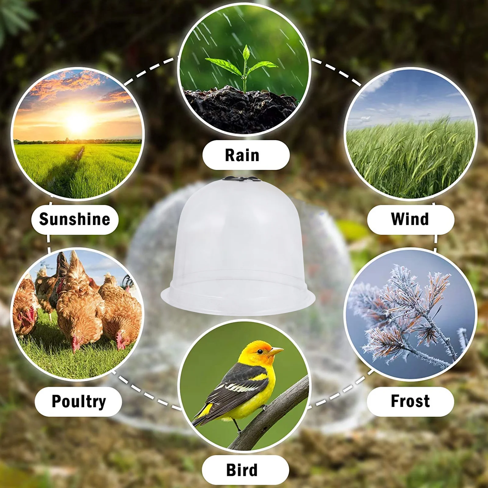 

Plant Dome Garden Cloche Set for Vegetable Starter Protection Humidity Greenhouse Mini Plastic Bell Cover Outdoor Gardening Kit