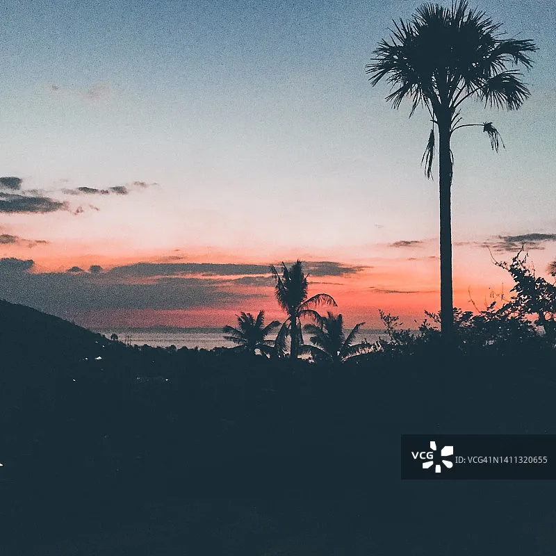 206E 1:10 50-60Km/H ラジコン オフロード車 2.4G 四輪駆動 ショックアブソーバー搭載 モンスタートラック 子供・大人向け