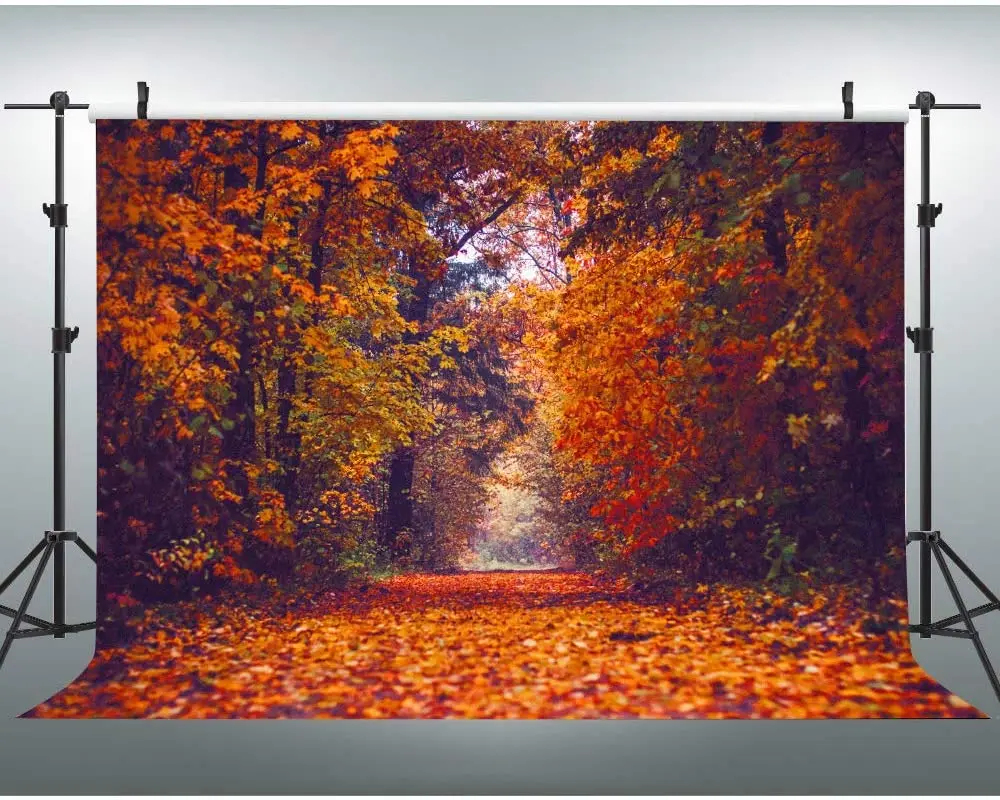 

Maple Leaves Photography Backdrop Autumn Fallen Yellow Tunnel Scenery Natural Season Background Fall Tree Street Road Photo