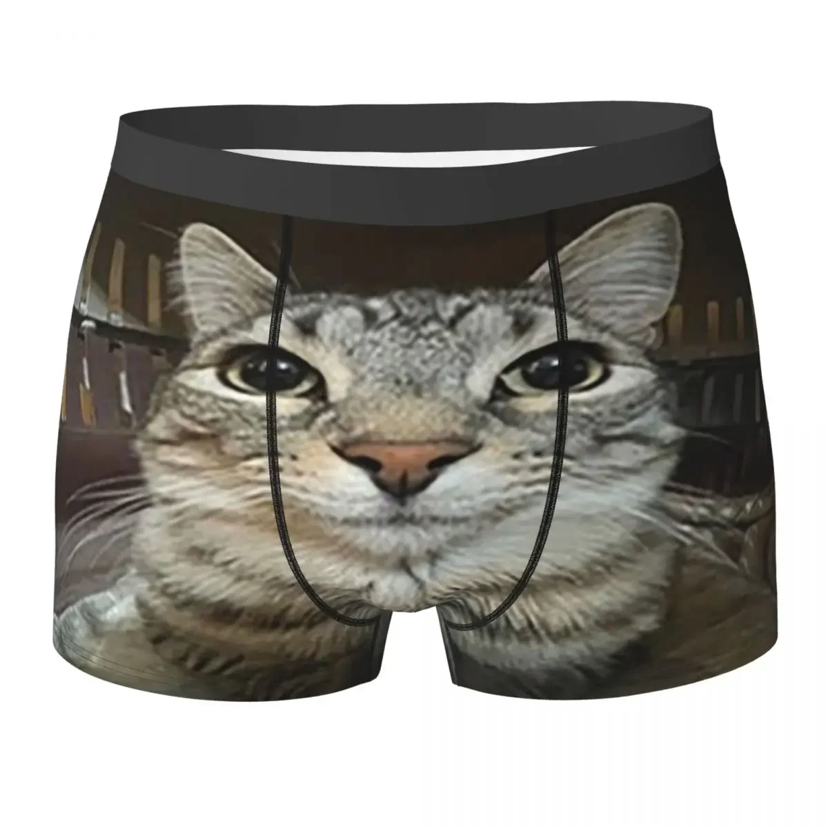 

Boxer Underpants Shorts Cat Looking Directly At You Panties Men Ventilate Underwear for Homme Man Boyfriend Gifts