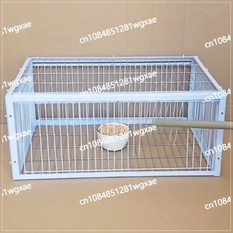 Mid Foldable Galvanised Pigeon Bird Trap Cage Feral Pigeon humane way with the one-way entrance Trapping Pigeons doves In Cages