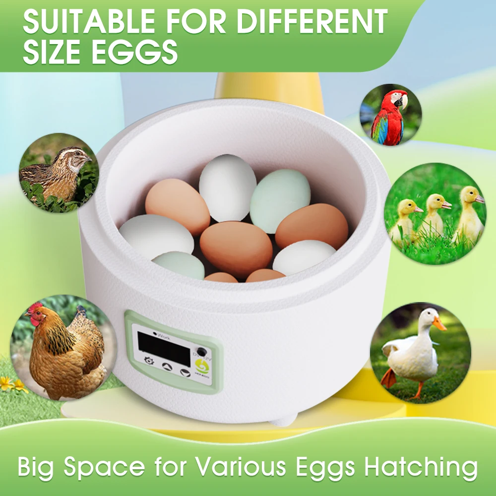 9 Eggs Incubator Simple operation Chicken, Duck and Bird Incubator Small household intelligent incubator