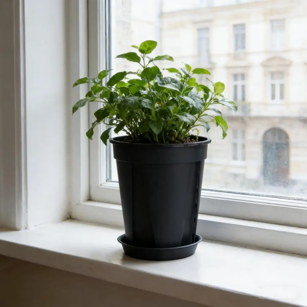Orchid Pot with Saucer Flowerpot with Side Ventilation Slots Plant Pot with Drainage Holes  Indoor Outdoor Use