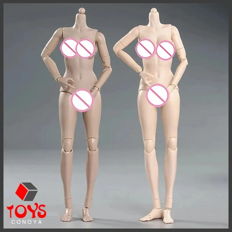 yZ[ẑ߂̔ANVtBMA,12C`̐l`,傫ȋ,ɏ_,VR[,1:6̐[,sculpt,1/6