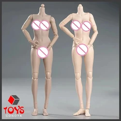 1/6 Female Suntan White Action Figure Dolls 12