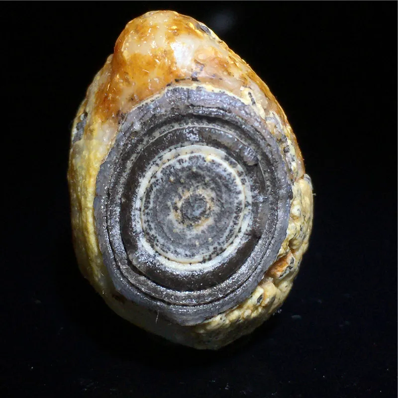 

Natural Rare Stone Alashan Gobi Yellow or Old Skin Eye Agate for Palm Handle Play alashan Gobi Agate Mineral Crystals Specimen