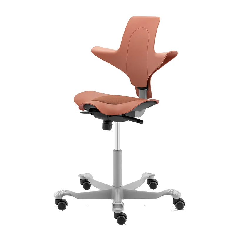 

Riding Chair Ergonomic Saddle Chair Children's Study Chair Office