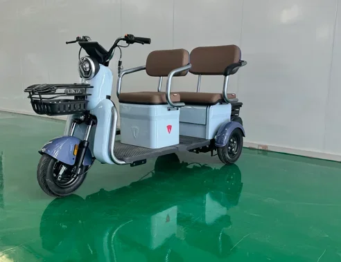 New EEC COC Model Electric Pedicab For Elderly Fat Tire 3-Wheel Tricycle For Passenger And Cargo Transport