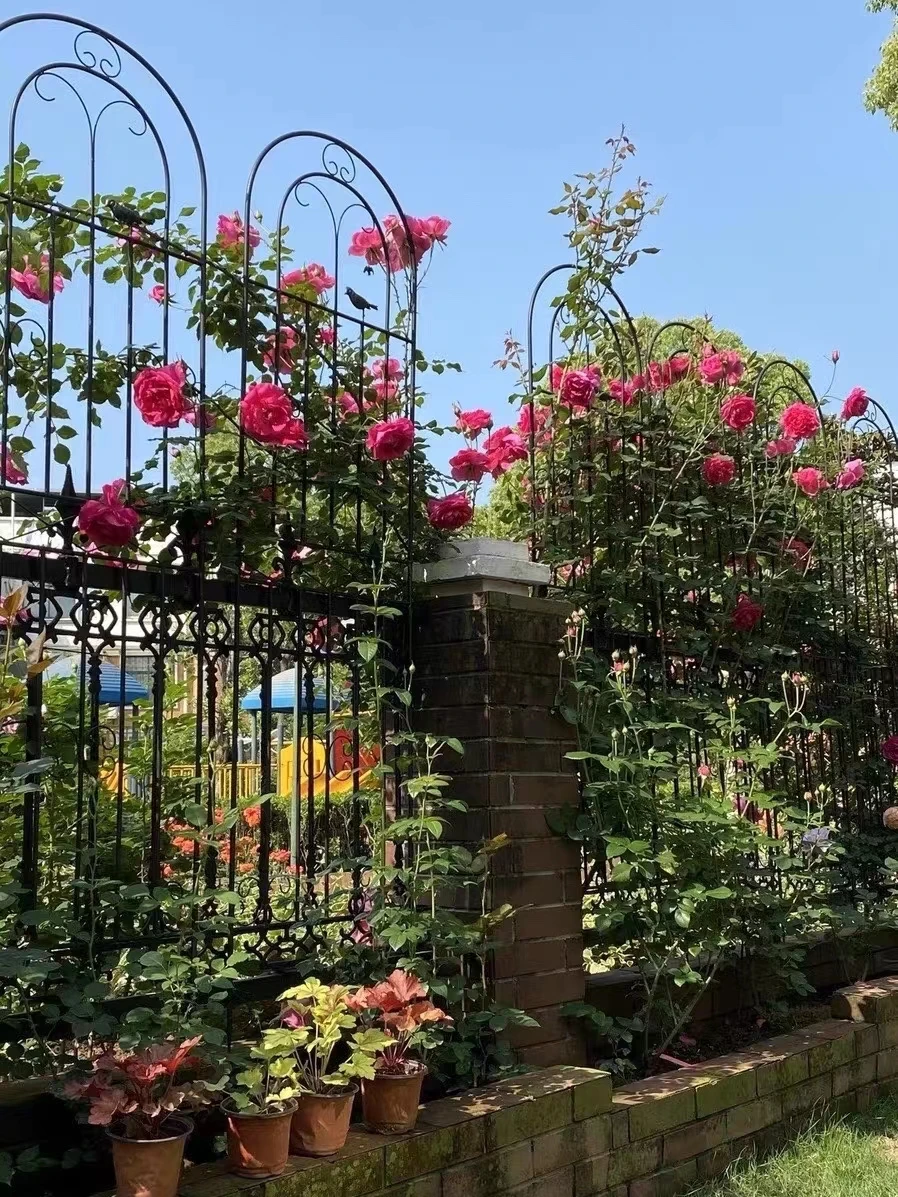 Cercas de jardín para plantas trepadoras y pérgola de flores, enrejado de plantas de Metal, muebles de jardín, valla exterior de hierro de alta calidad