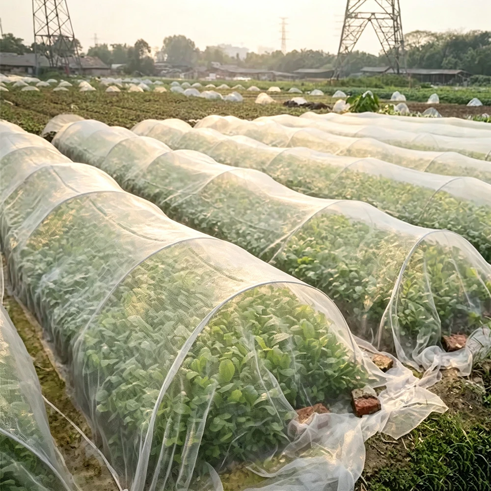 Filet anti-insectes 60 mailles - Agriculture Farming Vegetables avis et prix