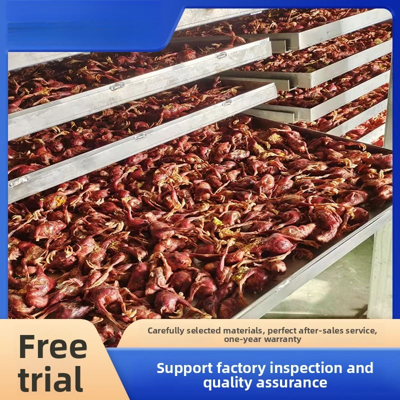Pet Food Freeze-Drying Equipment Raw Bone Meat Chicken Pellets Freeze Quail Egg Vacuum Dryer