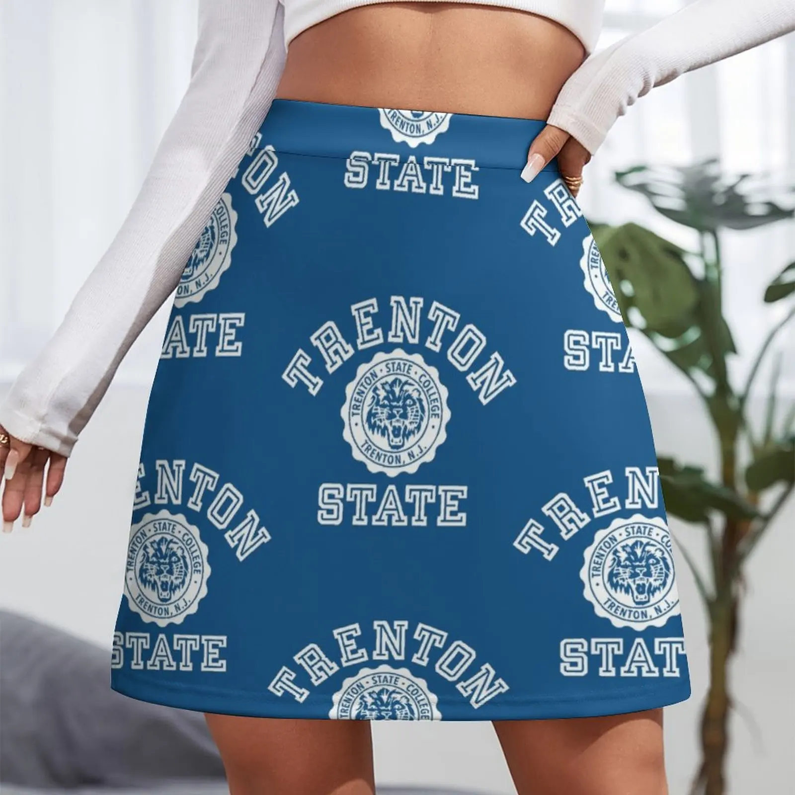 1960_s Trenton State College Graphic Mini Skirt Summer women's clothing modest skirts for women