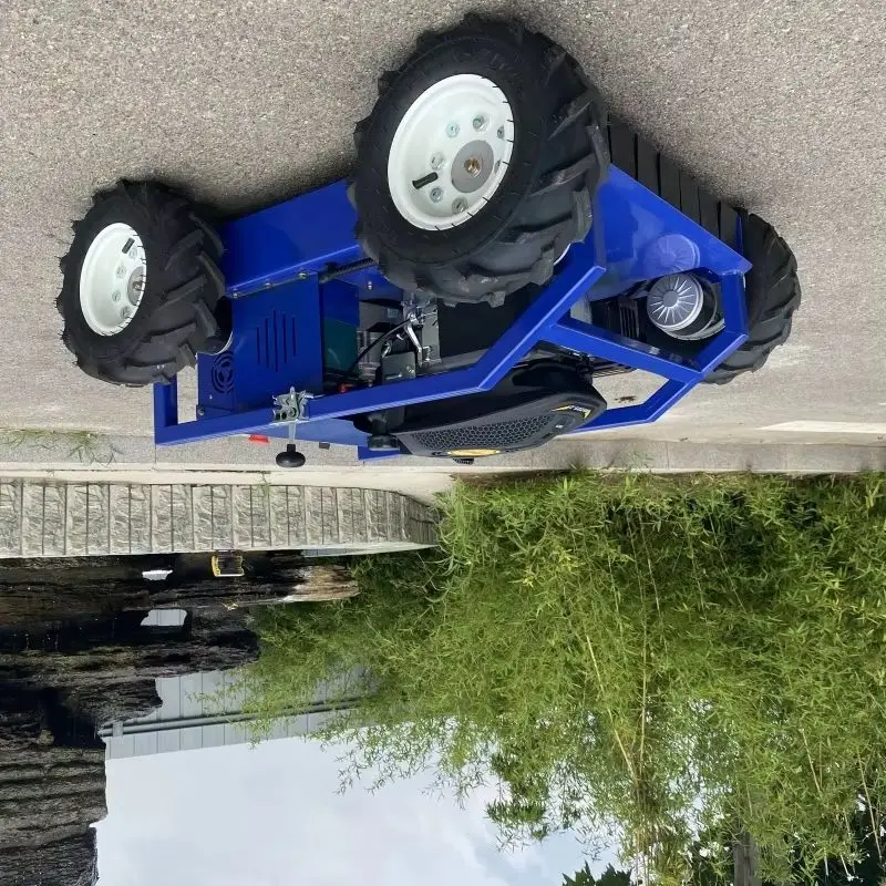 Customized All-Terr… - image