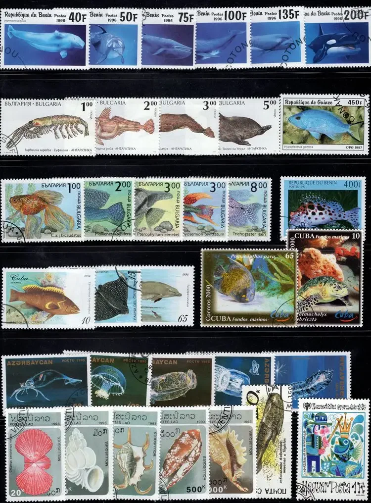 250 PCS/Lot,Topic Fish,Sea Life,Different Fish Stamps From Word,Animal Stamps,Used with Post Mark,High Quaility,Stamp Collection