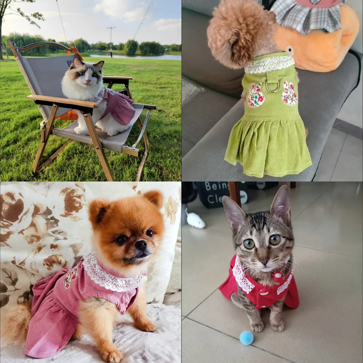 Thumbnail 3 - #31 Trending Pet Apparels Right Now