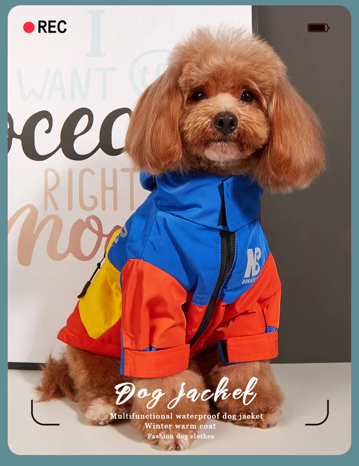 Wasserdichte Kleidung für große Hunde, Winter, warm, Haustier-Regenmantel für mittelgroße und große Hunde, modische coole Hundejacke, französische Bulldogge, Chihuahua-Outfit – Detail 3