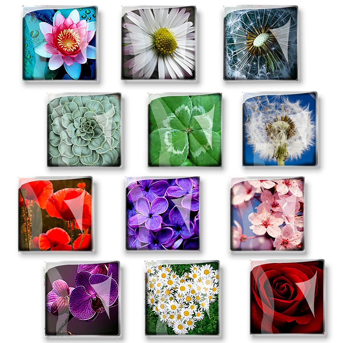 Flower Fridge Magnet for Home Decoration Luminous Sticker for Refrigerator Square Glass Dome Cute Flower 30mm