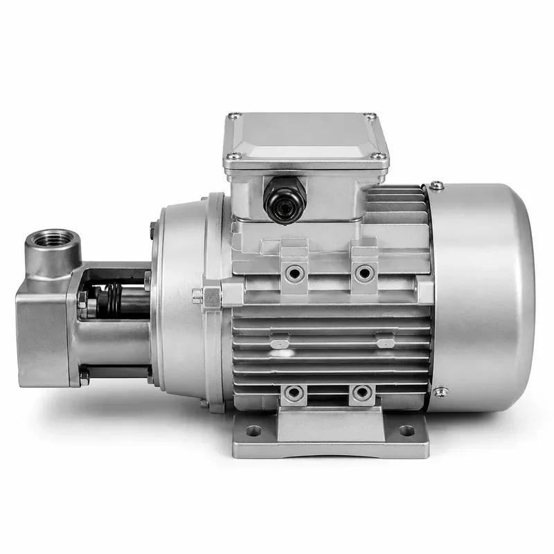 Flexible Self Priming Stainless Steel Food Grade Rotor Pump for Wine Rice Porridge Conveying 370W 550W 750W High Efficiency