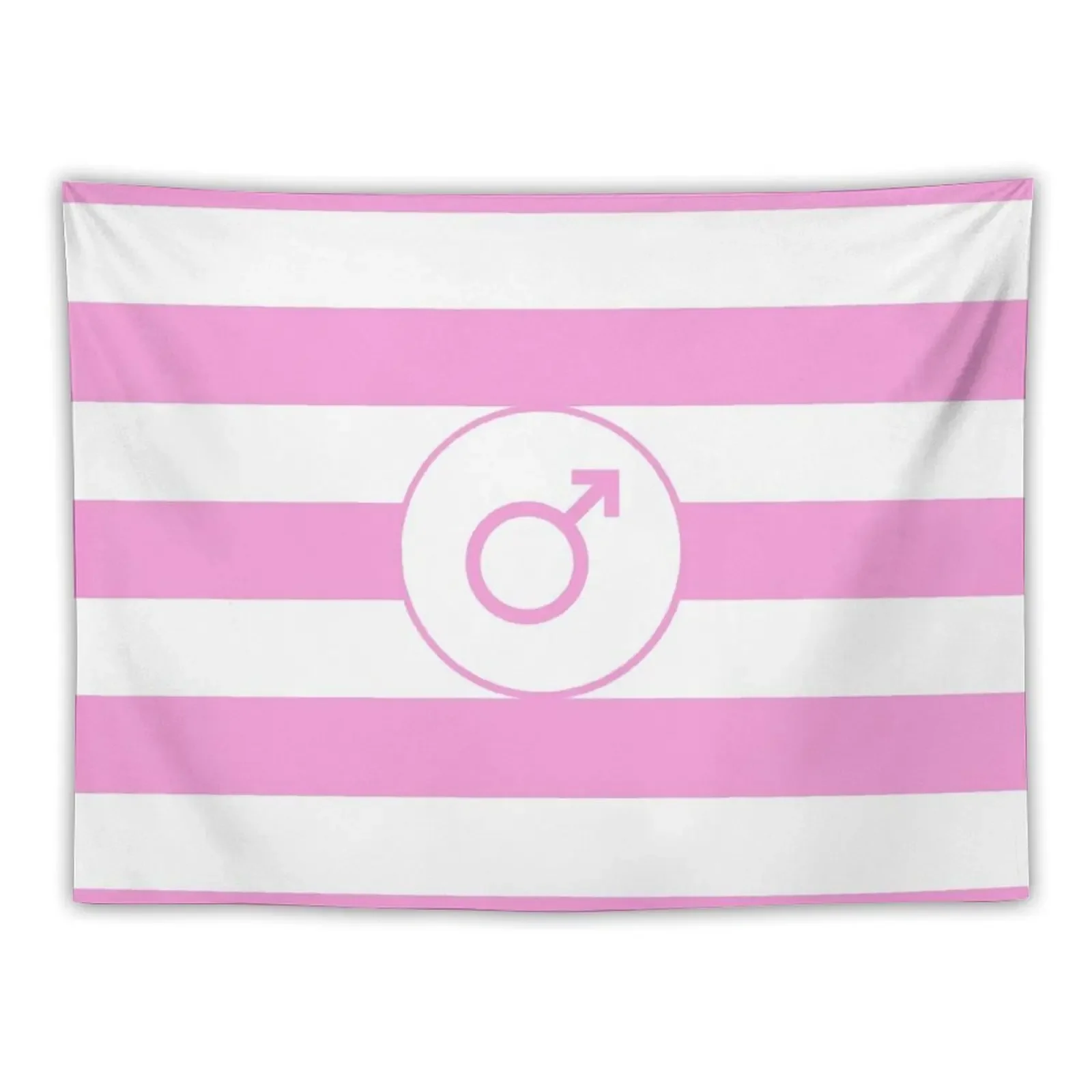 Sissy Pride Flag Tapestry Aesthetic Room Decor Korean Wall Tapestries Aesthetics For Room Tapestry