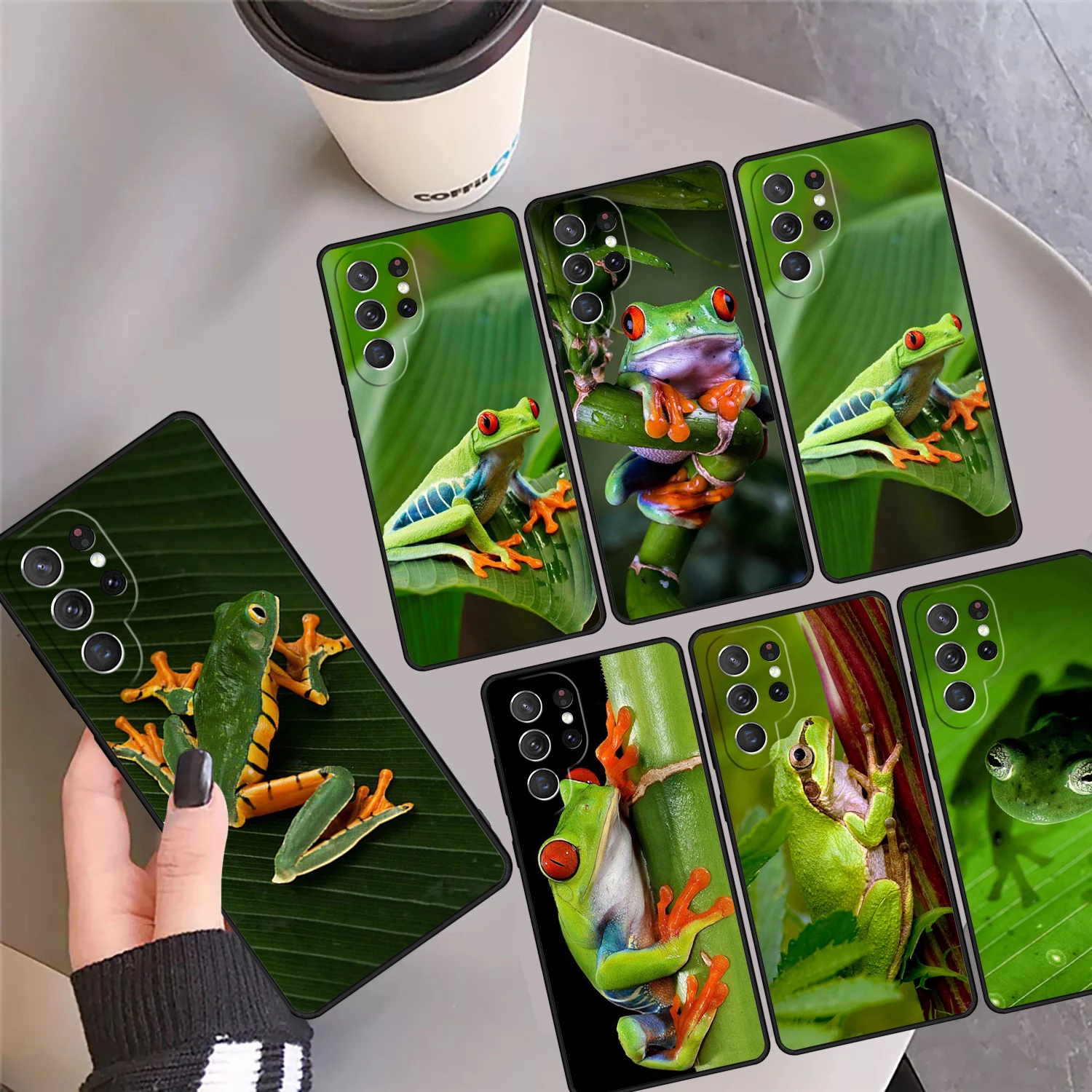 Quirky Frog At Leaf… - image