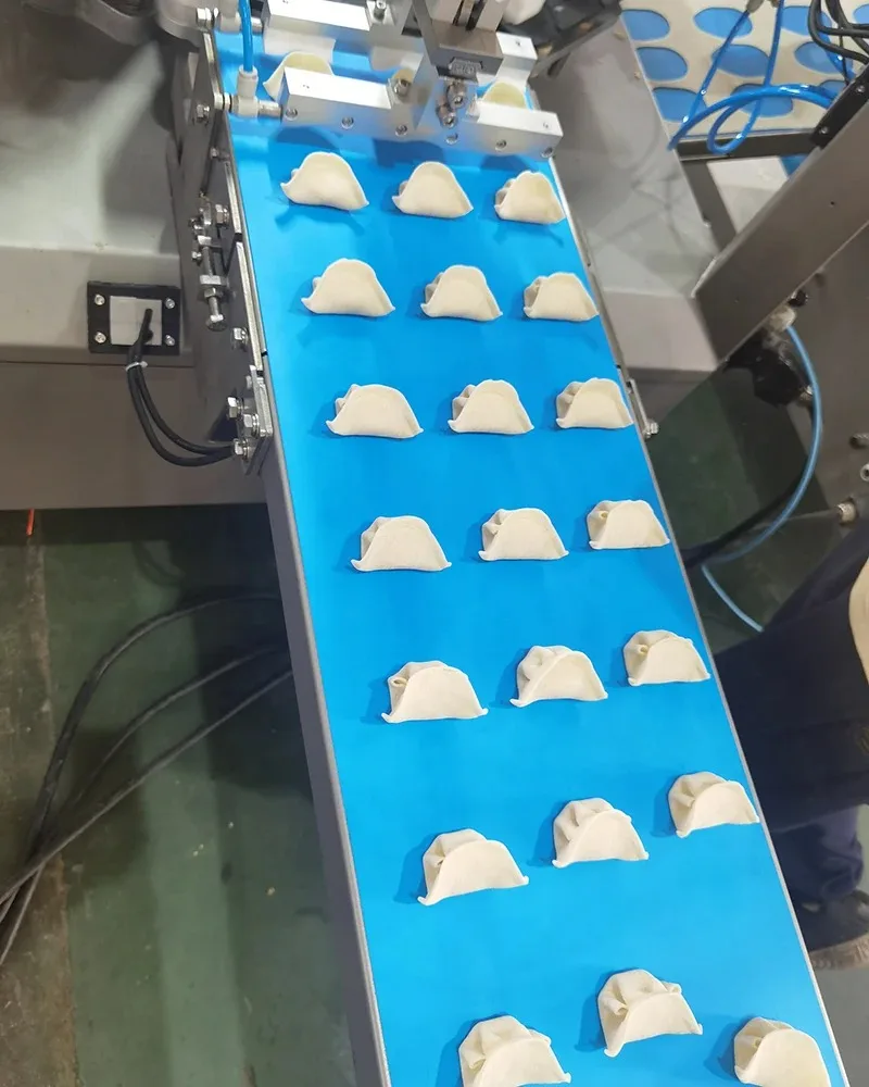 FOODLINE Lakeside Food Booth Dumpling Maker Anti Corrosion Cabinet Adjustable Crust Thickness Processing Unit