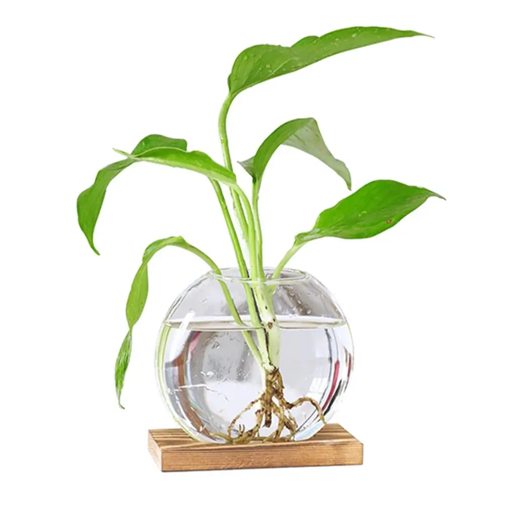 Decorative Glass Hydroponic Vase Planter Mini Bud Vase for Plants Office Desktop Wedding Centerpiece