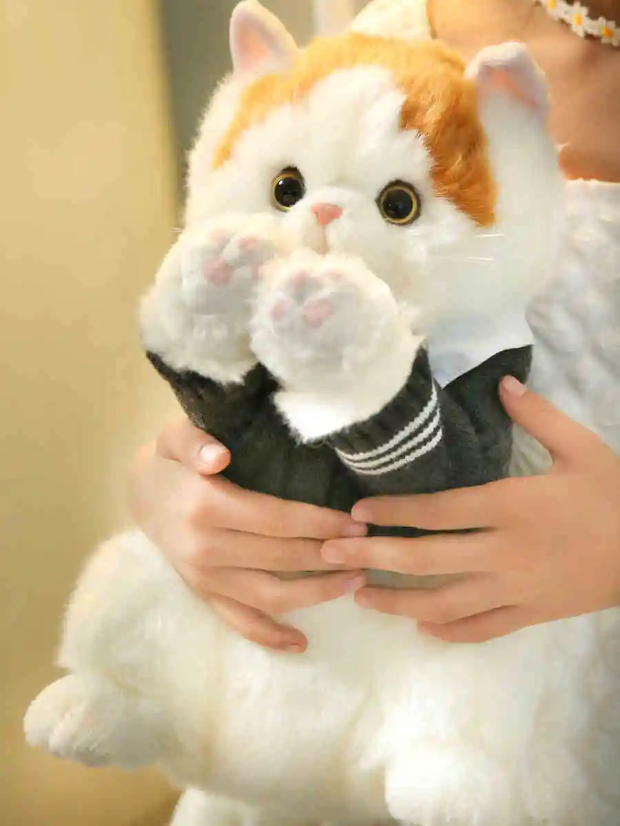 Japanese Gentleman Fat Orange Cat Plush Toy British Short Simulation Kitten Pet Animals Cute Handmade Doll Gift for Kids DY10093