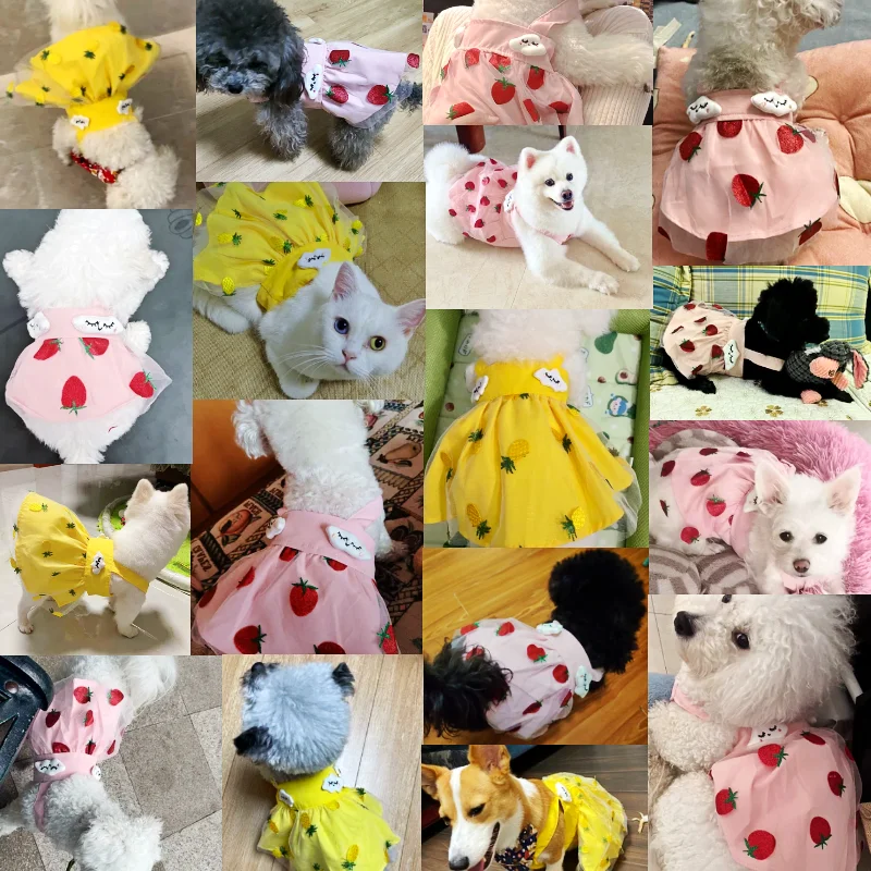 Summer Dog Dress for Small Dogs Luxury Dog Clothes Chihuahua French Bulldog Bichon Dog Costume Pet Clothing Dog Vest Puppy Skirt