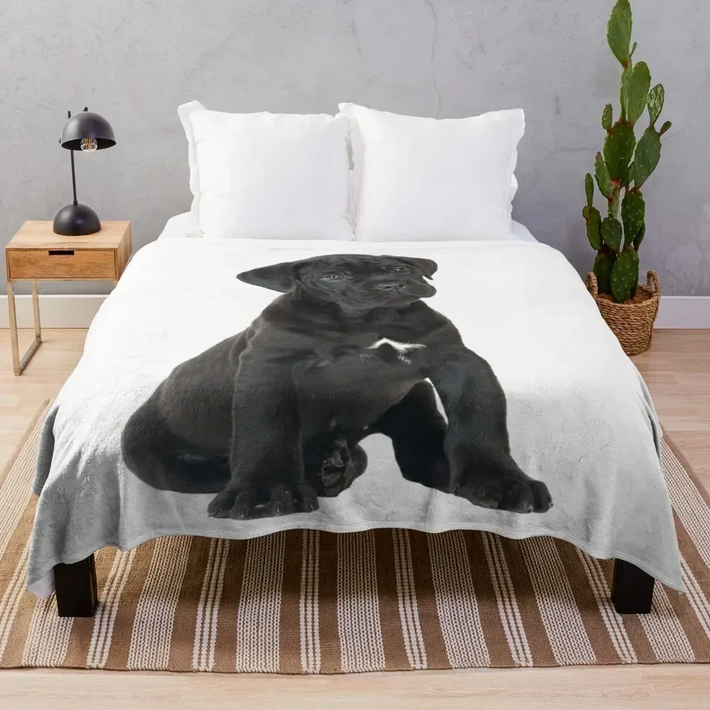 

Cane Corso Puppy Throw Blanket Color Fast Cozy Throw Blanket