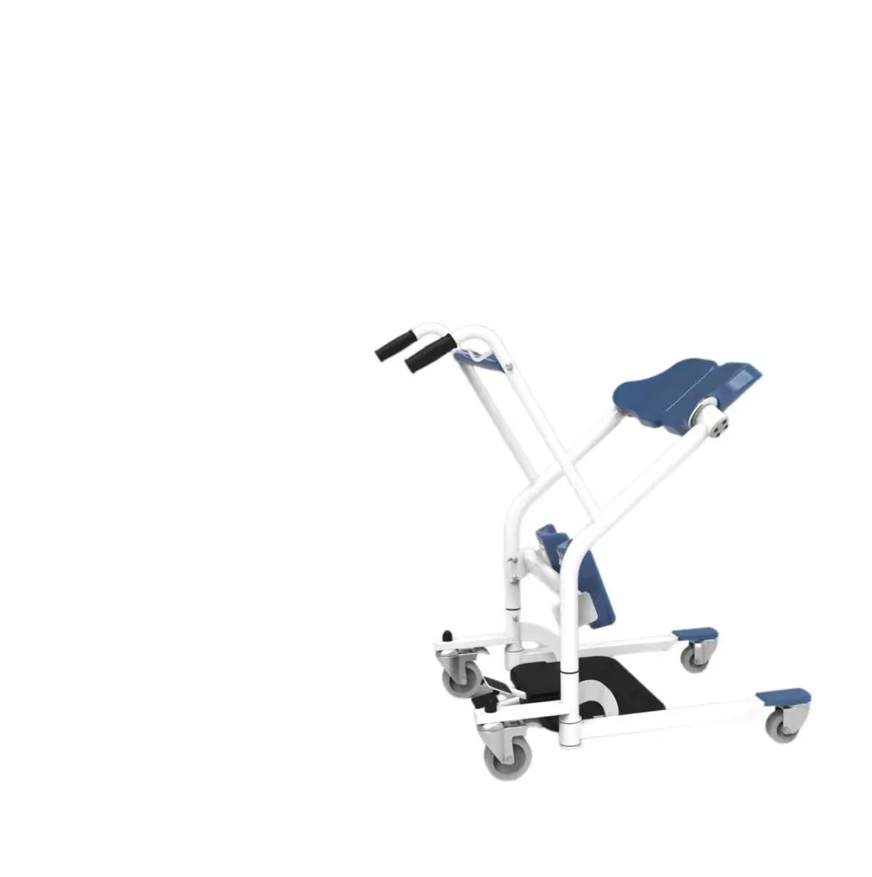 Chinese Manufacturer Elderly Are Able to Assist in the Safe Transfer of Assistive Devices While Standing
