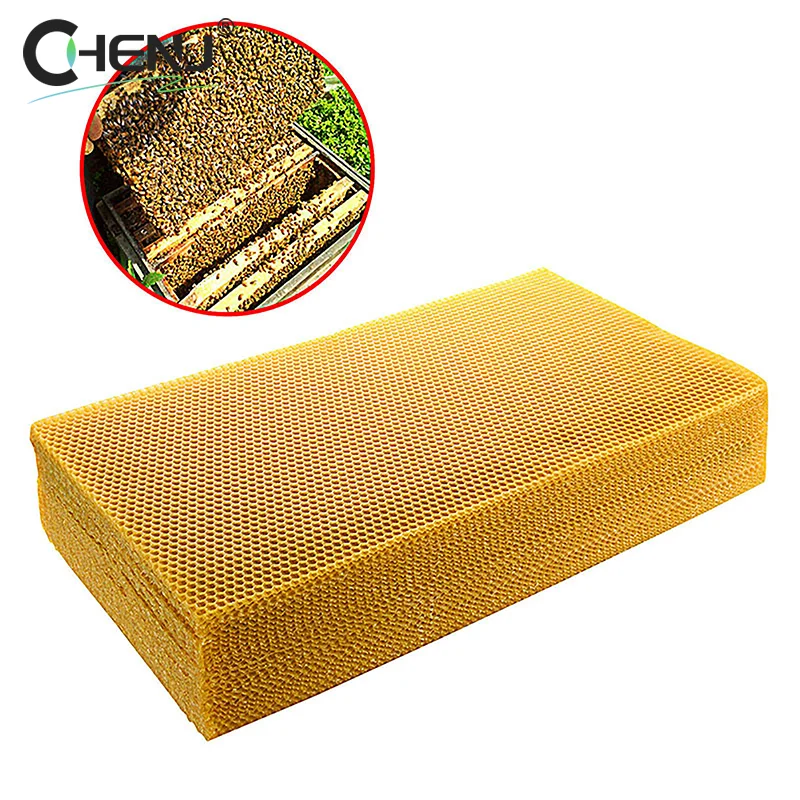 10Pcs/set Excellent DIY Accessories Yellow Honeycomb Foundation Bee Hive Wax Frames Beekeeping Equipment Sheet