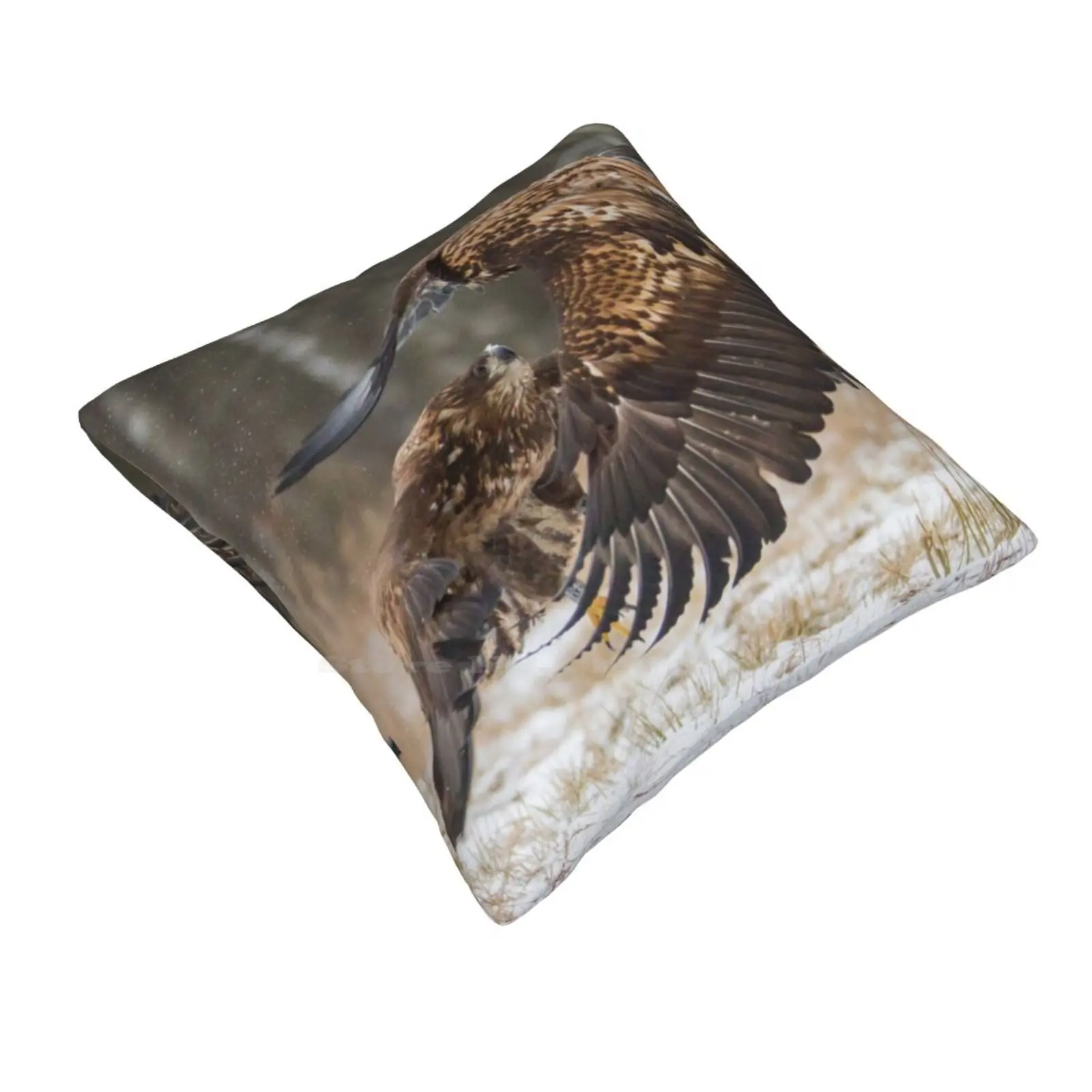 Mid-Air Encounter Fashion Sofa Throw Pillow Cover Pillowcase Poland Europe Nature Natura Animals Birds Eagle Fight Karate Kung