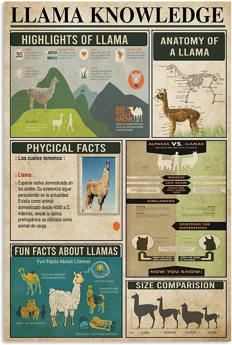 ESETASOT Anatomy Of A Llama Metal Tin Signs Llama Knowledge Poster Llama Infographics Retro Printing Plaques Home Office Cl sign