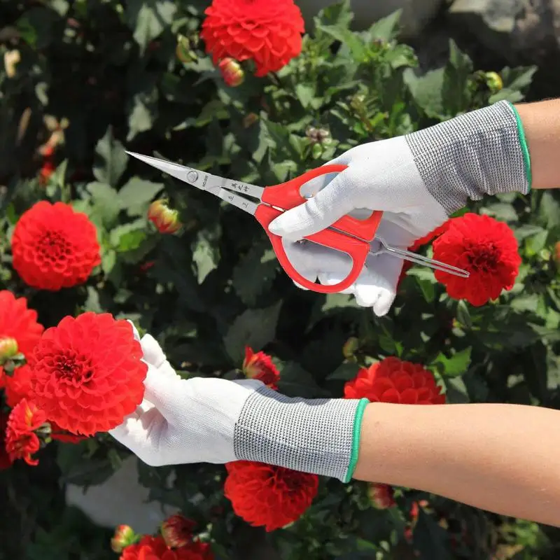 مقص العنب الملقط البستنة أداة مقص 2 في 1 فرع بونساي مقص مع الملقط الفاكهة العنب قطف أداة #6