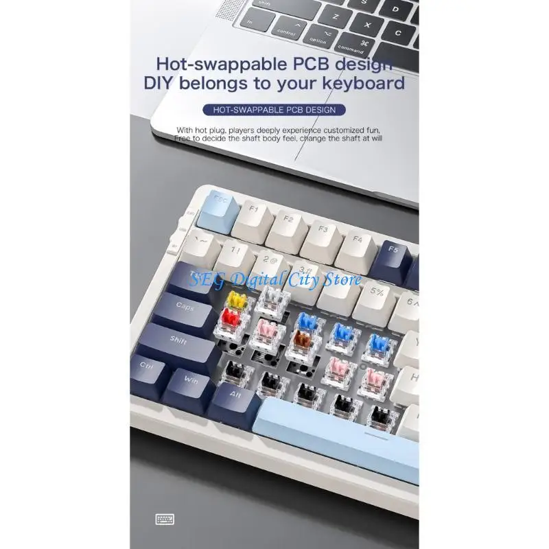 

U75B RGB 3 режимы Gaming Keyboard Typec 2,4 ГГц BT5.0 100Kys Hot Swap Pascut