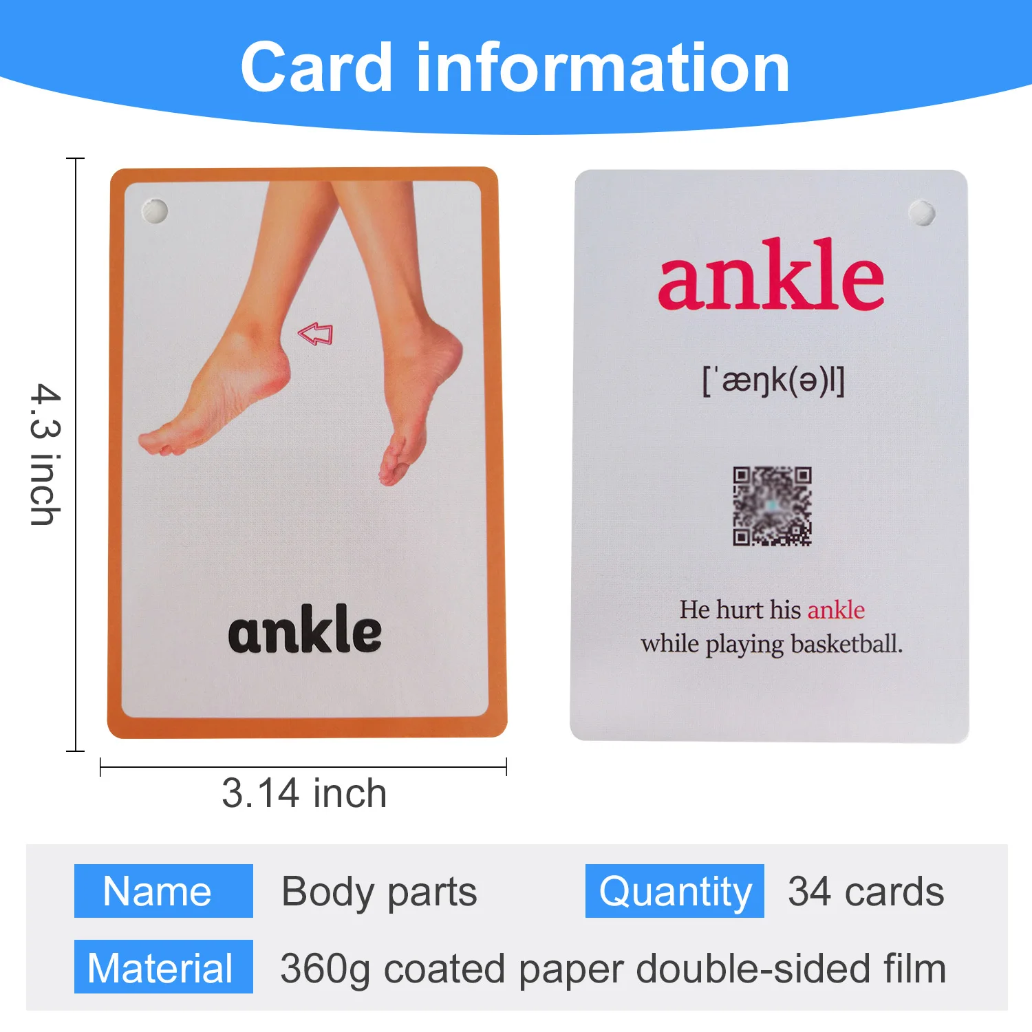 26 Themes 760 Cards Baby  English Learning Word Card Children\'s Educational Toys for Kids Early Learning Montessori Flashcards