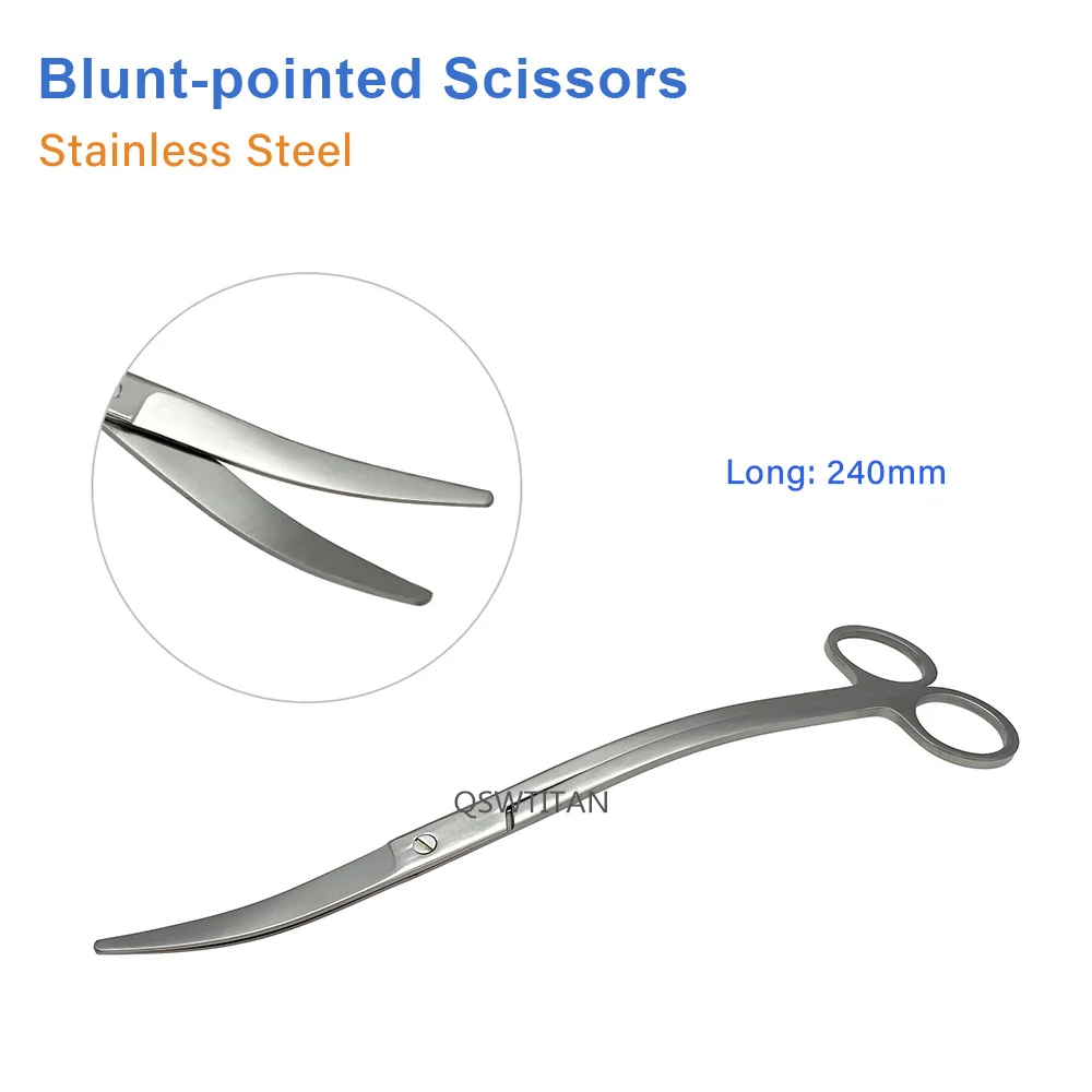 Stainless Steel Curved Beauty Scissors Cut Tissue Scissor Ophthalmic Scisors Dental Surgical Scissors